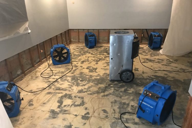 professional cleanup