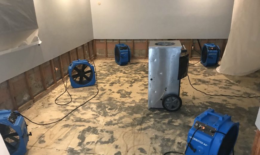 professional cleanup